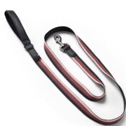 Reddy Reflective Dog Leash Burgundy Stripe Dog Lead 6 Ft. 