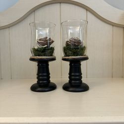 Home Decor - Moss and Sola Wood Flowers  Decor 
