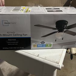 Ceiling Fan 