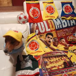 Camiseta De Equipo De Fútbol Para Perro