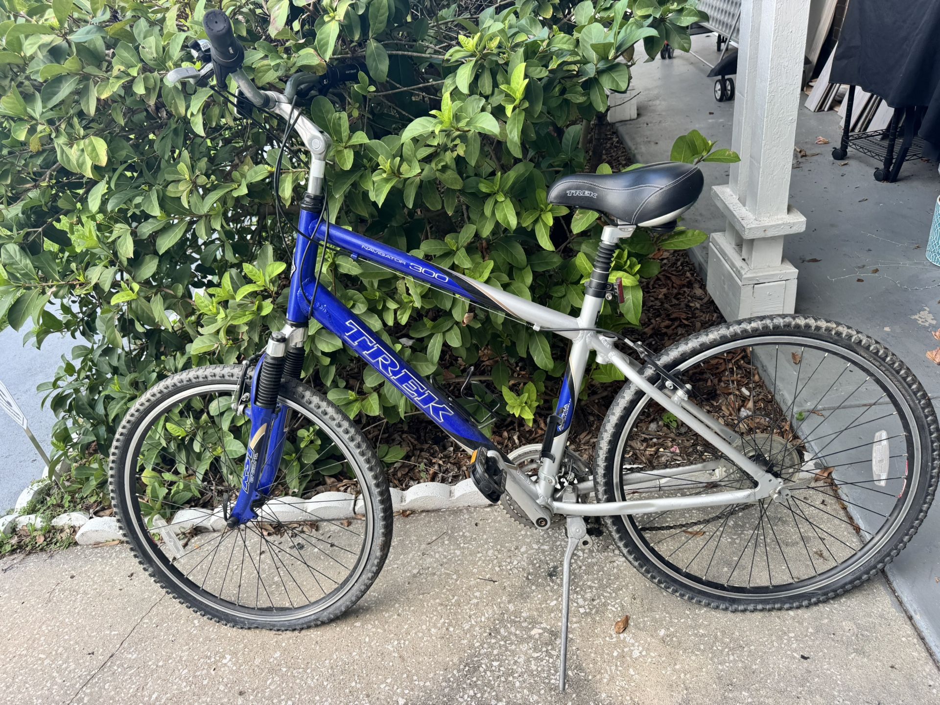 Trek & Cruiser
