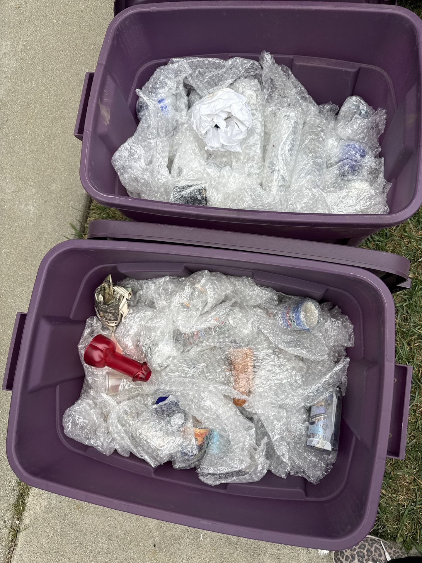 Shot Glass Collection