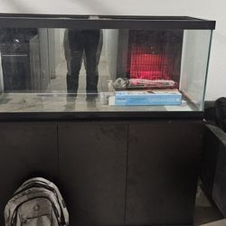 75 Gallon Fish Tank