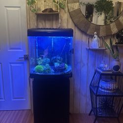 FISH TANK 