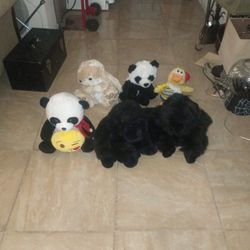 Teddy Bears 6 for $3