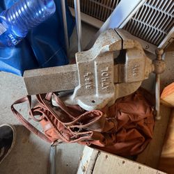 Giant Vice