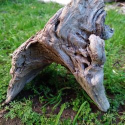 Genuine Driftwood For Aquariums Terrariums Decor Etc..