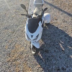 2022 Icebear Trifecta $1000 OBO