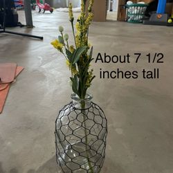 Glass Vase