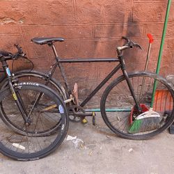 Fixed Bike Can Be Switched 