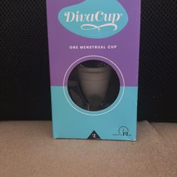 Diva Cup Size 2