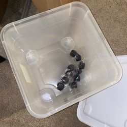 Storage Bin With Wheels