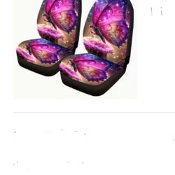 Two Cute Front  Car Seats Decor 