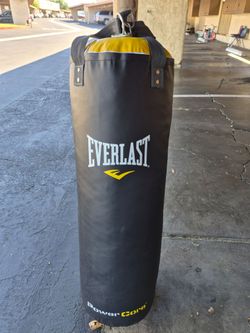 Everlast Heavy Bag/Punching Bag