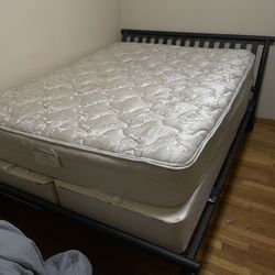 Sealy Queen Mattress With Double Box Spring 