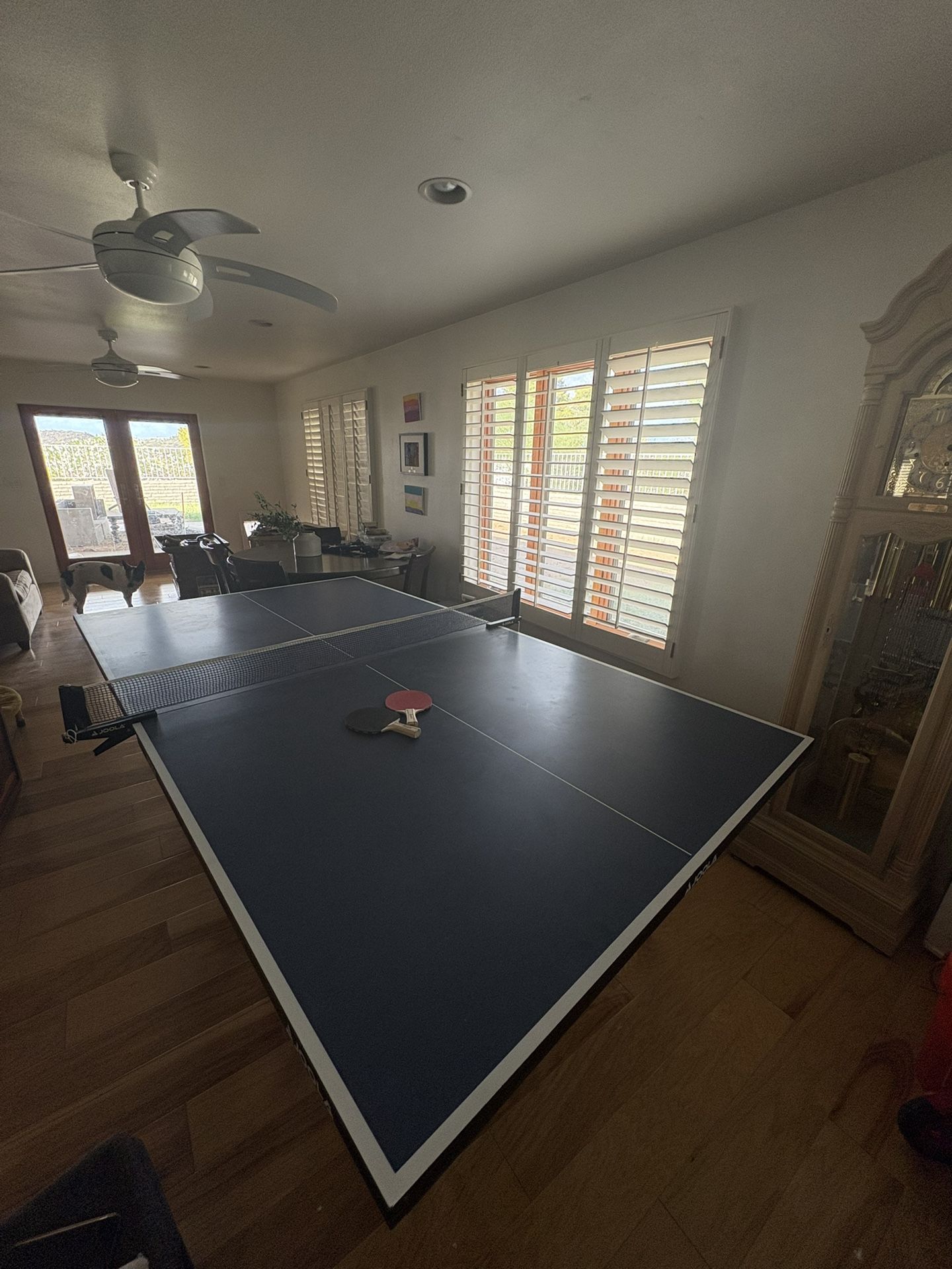 Joola Ping Pong Table 
