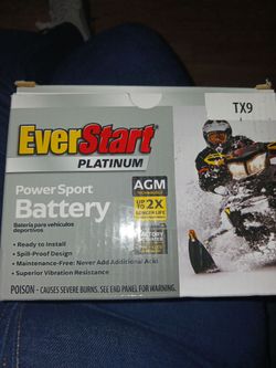 Everstart platinum power sport battery TX9