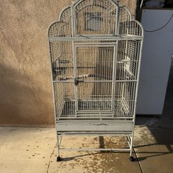 Parrot Cage