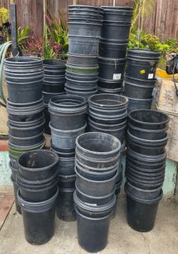 5 gal. Pots