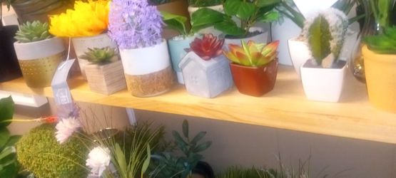 New artificial silk plants 2 to ten each looks real high quality