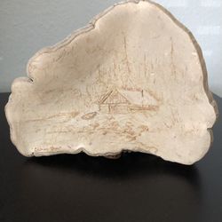 Handmade Signed Art Sketched On Dried Tree Fungus
