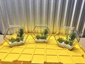 Set of 3 Glass Succulent Terrariums Gold Frame Faux Plants Home Decor