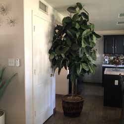 Big Plant Artificial 8 or 9 Feet 