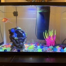 Aquarium 