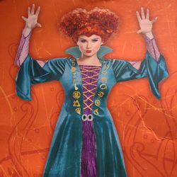 Wini Hocus Pocus Costume  Plus Size