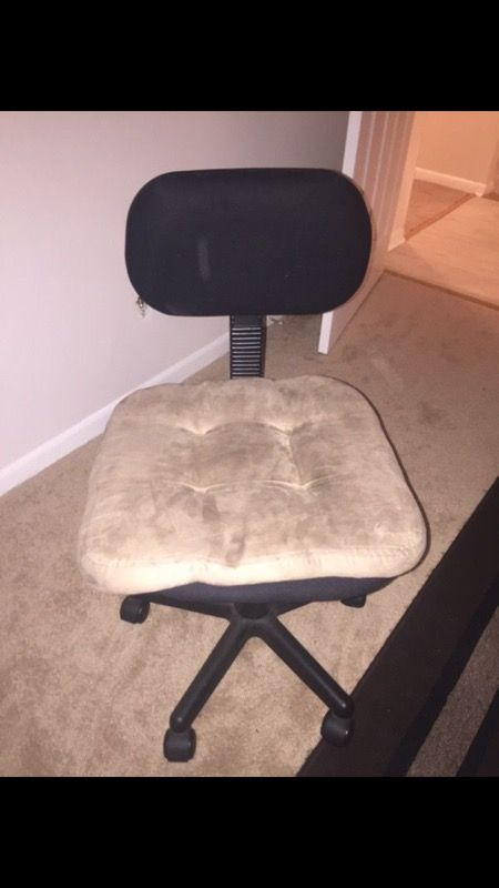 Rolling computer chair and seat cushion