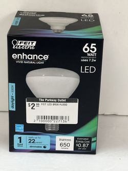 Feit LED BR30 Flood
