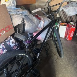 Throne 29er