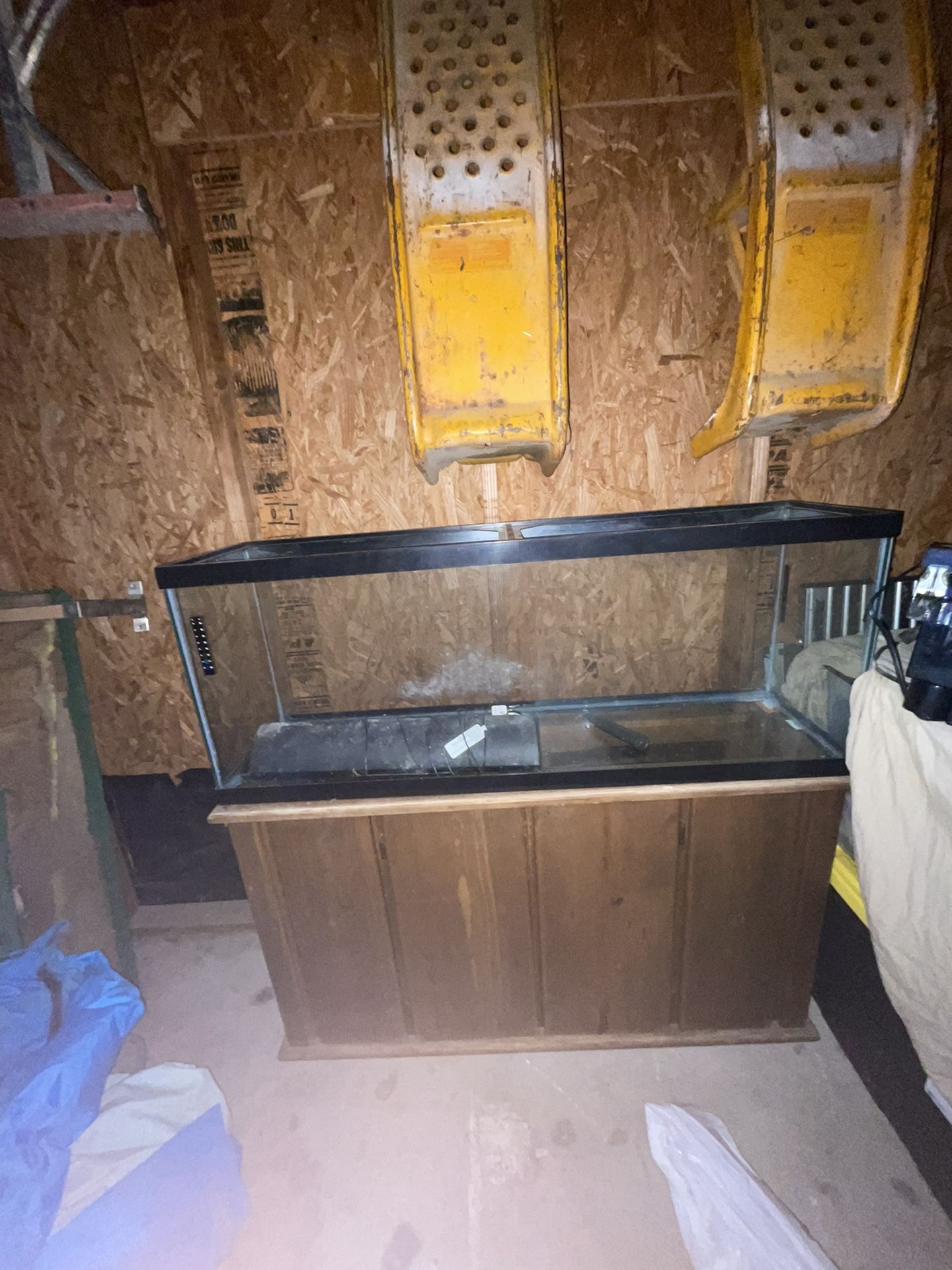 Salt water fish tank!