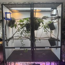 Chameleon Cages And Accessories 