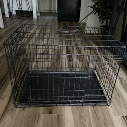 Dog Crate