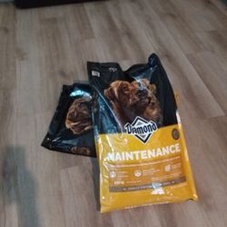 Dog Food 