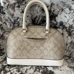 Small Coach Purse
