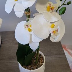 Faux White Orchid