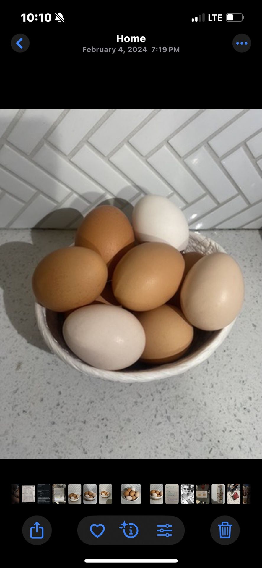 Fresh Eggs local - Huevos Frescos - Organic