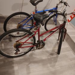 Schwinn Mountain Bike Set