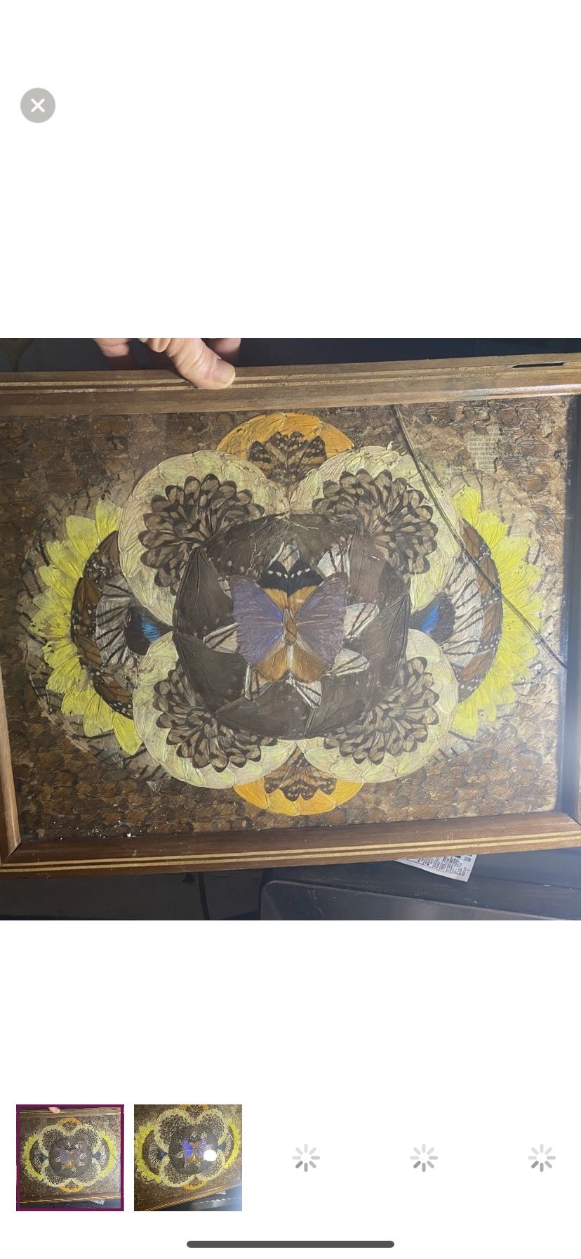 VINTAGE BUTTERFLY TRAY