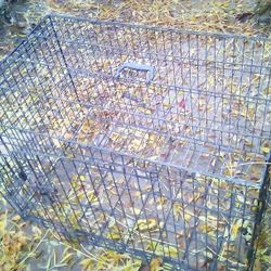 Large Pet Pen