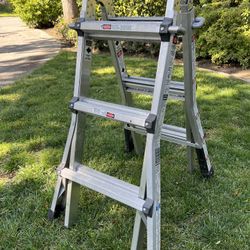 Gorilla Extendable Ladder
