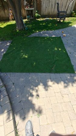 7' x 7' turf grass