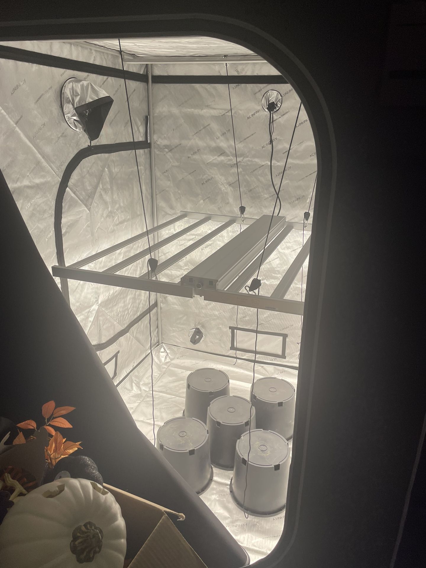 Grow Set Up