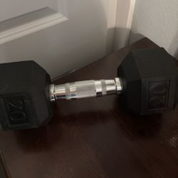 20 lb Rubber Hex Dumbbell – Great Condition