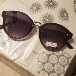 Tommy Hilfiger Ladies Sunglasses 