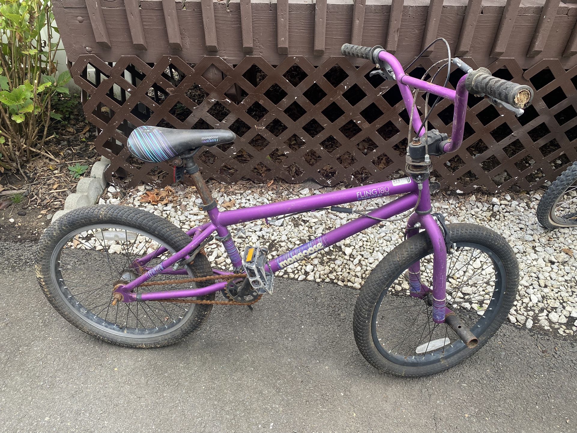 Mongoose fling 180 sale