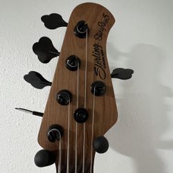 Sterling - StingRay5 Bass Guitar