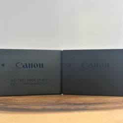 Canon LP-E17 Batteries (2)
